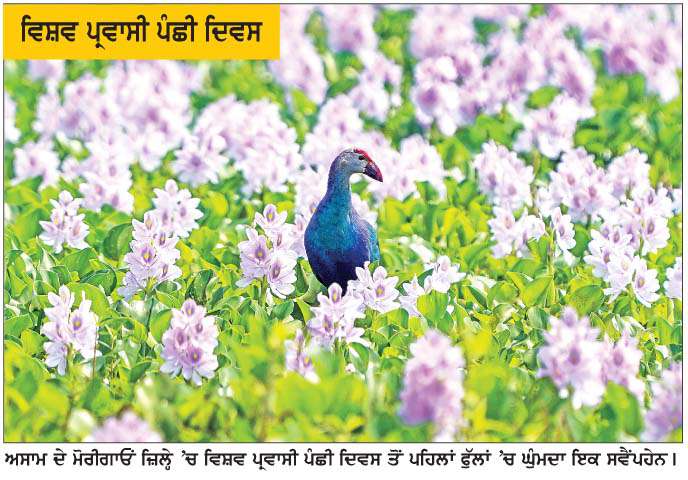  ਅਸਾਮ ਦੇ ਮੋਰੀਗਾਓਾ ਜ਼ਿਲ੍ਹੇ 'ਚ ...