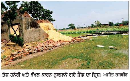  ਤੇਜ਼ ਹਨੇਰੀ ਅਤੇ ਝੱਖੜ ਕਾਰਨ ਸ਼ੈੱਡ ਹੋਇਆ ਚਕਨਾਚੂਰ  