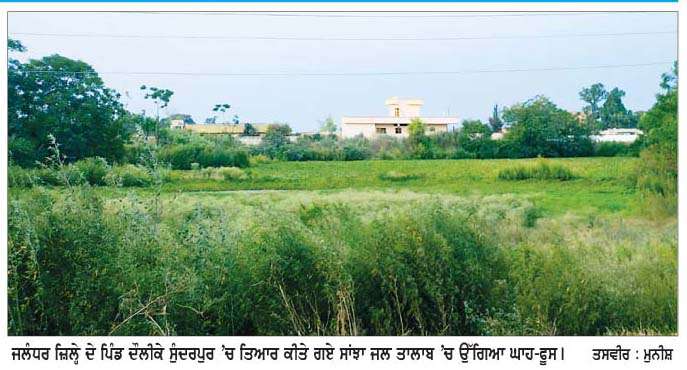 ਸੂਬੇ 'ਚ ਪੂਰੀ ਤਰ੍ਹਾਂ ਸਿਰੇ ਨਹੀਂ ਚੜ੍ਹ ਸਕੀ ਬਰਸਾਤੀ ਪਾਣੀ ਸੰਭਾਲਣ ਵਾਲੀ ਸਾਂਝਾ ਜਲ ਤਾਲਾਬ ਯੋਜਨਾ  
