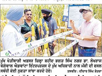 ਝੋਨੇ ਦੀ ਥਾਂ ਮੱਕੀ ਦੀ ਫ਼ਸਲ ਨੂੰ ਪਹਿਲ ਦੇਣ ਵਾਲੇ ਕਿਸਾਨਾਂ ਨੂੰ ਸਰਕਾਰ ਦੇਵੇਗੀ ਵੱਡੀ ਸਹਾਇਤਾ-ਮੁੱਖ ਖੇਤੀਬਾੜੀ ਅਫ਼ਸਰ