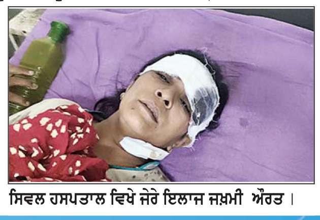  ਪੁਰਾਣੀ ਰੰਜਿਸ਼ ਦੇ ਚੱਲਦਿਆਂ ਇਕ�ਔਰਤ ’ਤੇ ਤੇਜ਼ਧਾਰ ਹਥਿਆਰਾਂ ਨਾਲ ਹਮਲਾ ਕਰਕੇ ਕੀਤਾ ਜਖ਼ਮੀ