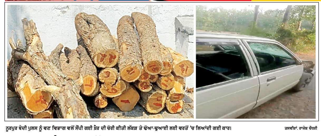  ਜੰਗਲ ’ਚੋਂ ਖ਼ੈਰ ਦੇ ਦਰੱਖ਼ਤ ਚੋਰੀ ਕਰਦੇ ਫੜੇ ਗਏ 2 ਵਿਅਕਤੀਆਂ  ਨੇ ਪਿੰਡ ਵਾਸੀਆਂ ਤੇ ਵਣ ਵਿਭਾਗ ਦੇ ਸਟਾਫ਼ ’ਤੇ ਕੀਤਾ ਜਾਨਲੇਵਾ ਹਮਲਾ
