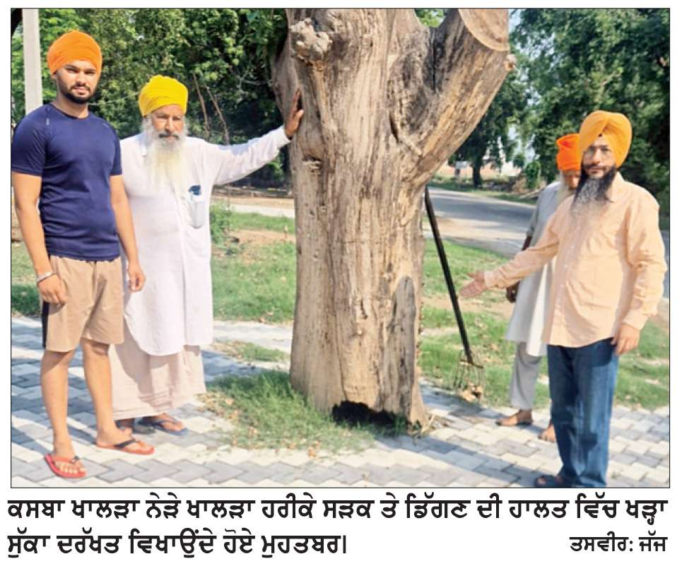  ਡਿੱਗਣ ਦੀ ਹਾਲਤ ’ਚ ਖੜ੍ਹਾ ਸੁੱਕਾ ਦਰੱਖਤ ਕਿਸੇ ਵੇਲੇ ਵੀ ਕਰ ਸਕਦਾ ਹੈ ਭਾਰੀ ਜਾਨੀ ਮਾਲੀ ਨੁਕਸਾਨ
