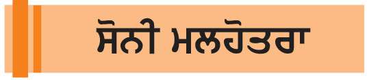  ਸੋਇਆ ਇਕ ਸੰਤੁਲਿਤ ਭੋਜਨ