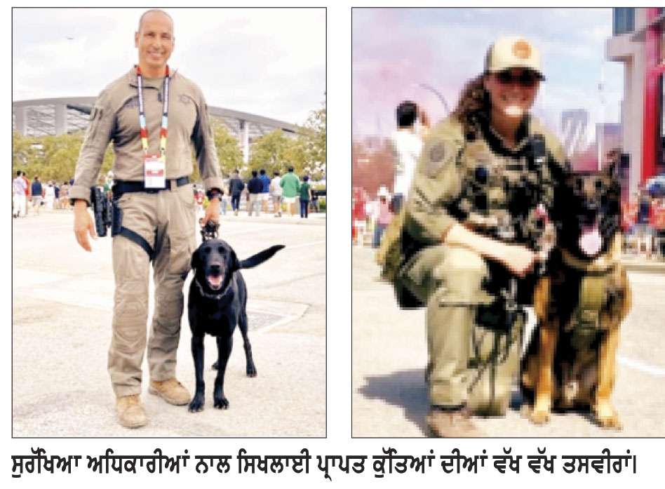 ਫ਼ੀਫ਼ਾ ਵਿਸ਼ਵ ਕੱਪ ਦੀ ਸੁਰੱਖਿਆ ’ਚ ਤਾਇਨਾਤ ਕੁੱਤਿਆਂ ਤੋਂ ਲਈਆਂ ਜਾ ਰਹੀਆਂ ਨੇ ਅਹਿਮ ਸੇਵਾਵਾਂ