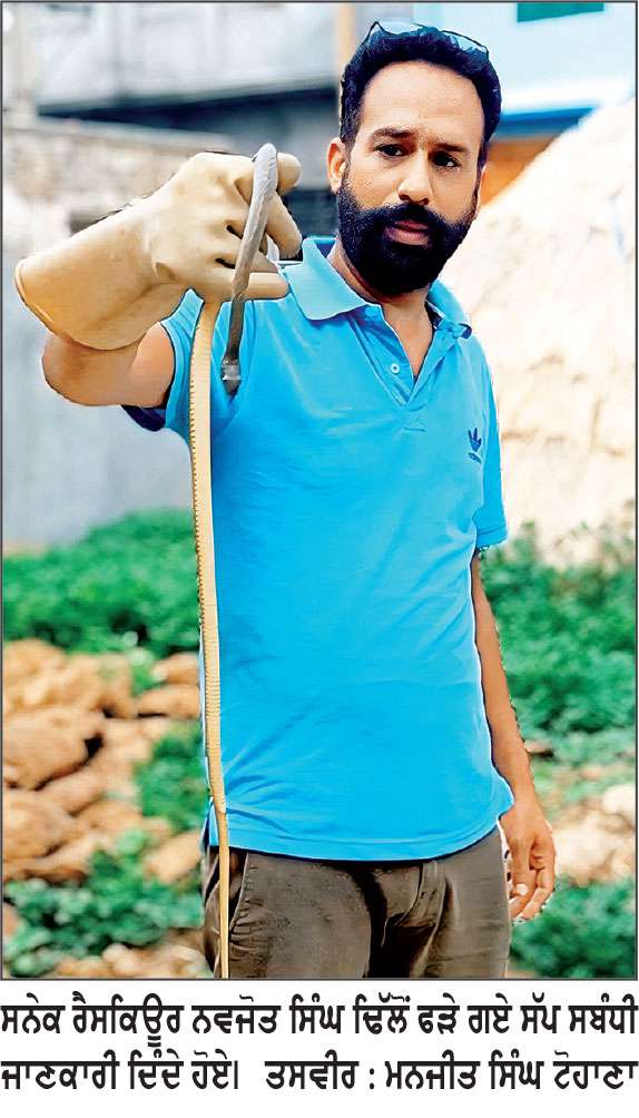 ਕਈ ਮਹੀਨਿਆਂ ਤੋਂ ਦਹਿਸ਼ਤ ਦਾ ਕਾਰਨ ਬਣੇ ਘੋੜਾ ਪਛਾੜ ਸੱਪ ਕੀਤਾ ਕਾਬੂ, ਪਿੰਡ ਵਾਸੀਆਂ ਨੇ ਲਿਆ ਸੁੱਖ ਦਾ ਸਾਹ