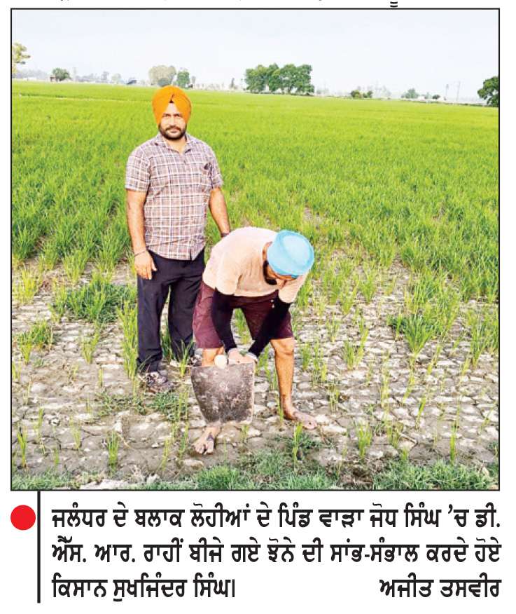  ਸੂਬੇ ’ਚ ਇਸ ਵਾਰ ਝੋਨੇ ਦੀ ਸਿੱਧੀ ਬਿਜਾਈ ਨੂੰ ਮਿਲਿਆ ਵਧੀਆ ਹੁੰਗਾਰਾ, ਨਿਰਧਾਰਤ ਰਕਬੇ ਦਾ 80 ਫ਼ੀਸਦੀ ਟੀਚਾ ਪੂਰਾ

