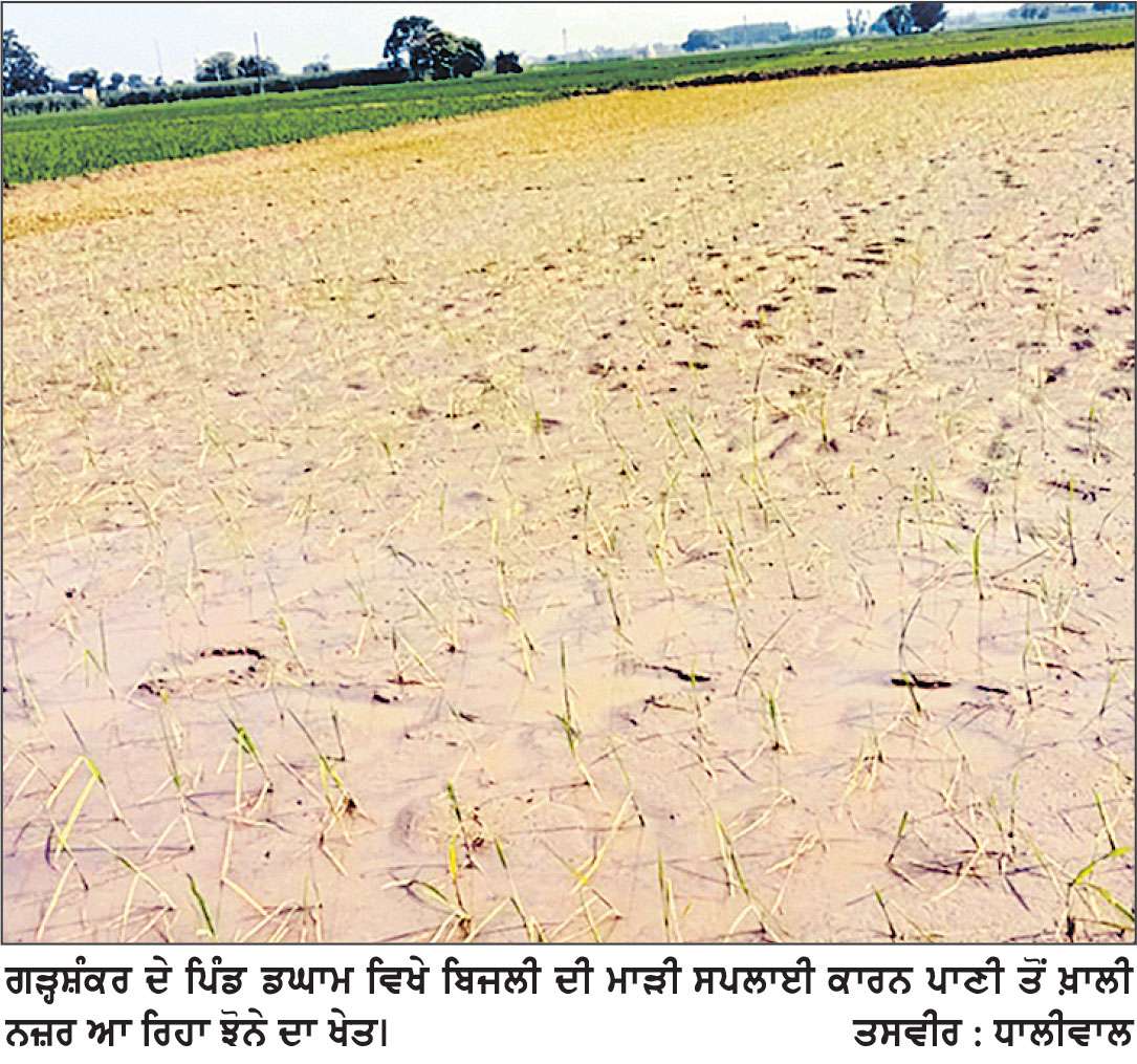 ਡਘਾਮ ਤੇ ਹੋਰ ਪਿੰਡਾਂ ਦੇ ਕਿਸਾਨ ਨਿਰੰਤਰ ਬਿਜਲੀ ਸਪਲਾਈ ਨਾ ਆਉਣ ਤੋਂ ਪ੍ਰੇਸ਼ਾਨ, ਮੋਇਲਾ ਫੀਡਰ ਅਧੀਨ ਆਉਂਦੇ ਪਿੰਡਾਂ ਦਾ ਜ਼ਿਆਦਾ ਮਾੜਾ ਹਾਲ