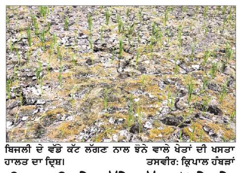  ਬਿਜਲੀ ਦੇ ਵੱਡੇ ਕੱਟ! ਝੋਨੇ ਦੇ ਖੇਤਾਂ ’ਚ ਪਾਣੀ ਸੁੱਕਣਾ ਸ਼ੁਰੂ