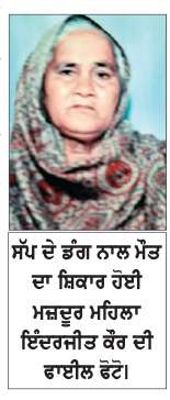  ਖੇਤ ’ਚ ਕੰਮ ਕਰਦਿਆਂ ਸੱਪ ਦੇ ਡੰਗਣ ਨਾਲ ਮਜ਼ਦੂਰ ਔਰਤ ਦੀ ਮੌਤ