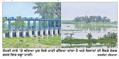 ਨਹਿਰ ਦੀ ਸਫ਼ਾਈ ਨਾ ਹੋਣ ਕਾਰਨ ਸੈਂਕੜੇ ਏਕੜ ਫ਼ਸਲ ਆਈ ਨੌਮਣੀ ਨਾਲੇ ਦੇ ਪਾਣੀ ਦੀ ਲਪੇਟ ’ਚ 
