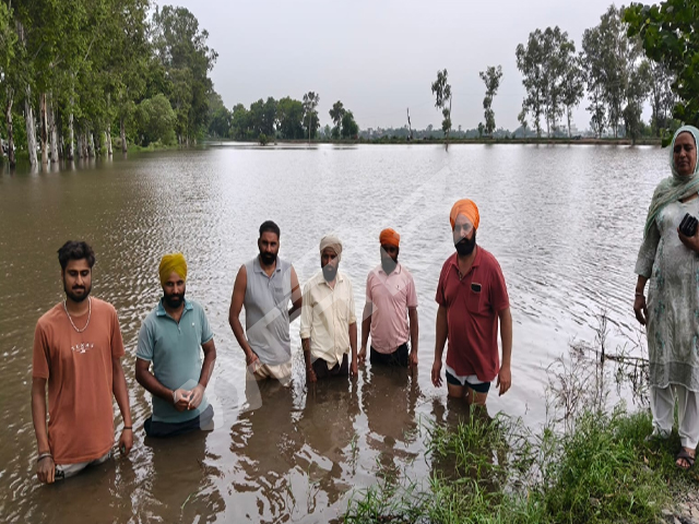 ਬਰਸਾਤੀ ਪਾਣੀ ਨੂੰ ਡੱਕ ਲੱਗਣ ਨਾਲ ਸੈਂਕੜੇ ਏਕੜ ਫ਼ਸਲ ਪਾਣੀ ਵਿਚ ਡੁੱਬੀ 