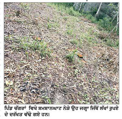 ਪਿੰਡ ਚੱਗਰਾਂ ’ਚ ਪੰਚਾਇਤੀ ਜ਼ਮੀਨ ’ਚੋਂ ਦੂਸਰੀ ਵਾਰ ਦਰੱਖਤਾਂ ਦੀ ਚੋਰੀ ਦੇ ਮਾਮਲੇ ’ਚ ਚੱਬੇਵਾਲ ਪੁਲਿਸ ਚੁੱਪ