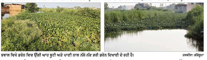 ਝਬਾਲ ਵਿਖੇ ਪਾਣੀ ਵਾਲੀ ਡਰੇਨ ਦਾ ਪਾਣੀ ਬਾਹਰ ਆਉਣ ਨਾਲ ਕਿਸਾਨਾਂ ਦੀਆਂ ਫ਼ਸਲਾਂ ਡੁੱਬ ਰਹੀਆਂ