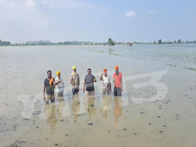 ਅਜਨਾਲਾ ਖੇਤਰ ਵਿਚ ਇਕ ਵਾਰ ਫਿਰ ਸ਼ੁਰੂ ਹੋਇਆ ਮੀਂਹ, ਕਿਸਾਨਾਂ ਦੀਆਂ ਵਧੀਆਂ ਚਿੰਤਾਵਾਂ
