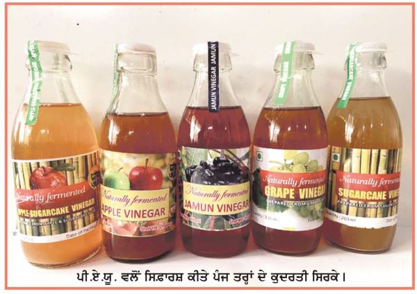 ਵਧੀਆ ਸਹਾਇਕ ਕਿੱਤਾ ਹੈ ਗੰਨੇ ਤੇ ਫ਼ਲਾਂ ਤੋਂ ਕੁਦਰਤੀ ਸਿਰਕੇ ਦਾ ਉਤਪਾਦਨ