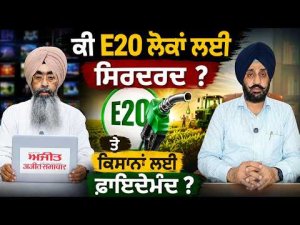 ਤੁਹਾਡੇ ਮੁੱਦੇ ਸਾਡੀ ਰਾਇ : ਕੀ E20 ਲੋਕਾਂ ਲਈ ਸਿਰਦਰਦ ਤੇ ਕਿਸਾਨਾਂ ਲਈ ਫ਼ਾਇਦੇਮੰਦ ?