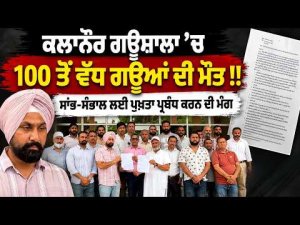 Kalanaur Gaushala ’ਚ 100 ਤੋਂ ਵੱਧ ਗਊਆਂ ਦੀ ਮੌਤ !! 
ਸਾਂਭ-ਸੰਭਾਲ ਲਈ ਪੁਖ਼ਤਾ ਪ੍ਰਬੰਧ ਕਰਨ ਦੀ ਮੰਗ