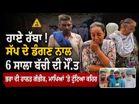 Child Dies, Brother Remains Critical : ਹਾਏ ਰੱਬਾ ! ਸੱਪ ਦੇ ਡੰਗਣ ਨਾਲ 6 ਸਾਲਾ ਬੱਚੀ ਦੀ ਮੌ.ਤ