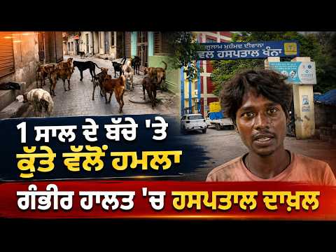 Admitted to Hospital in Serious Condition:1ਸਾਲ ਦੇ ਬੱਚੇ 'ਤੇ ਕੁੱਤੇ ਵਲੋਂ ਹਮ.ਲਾਗੰਭੀਰ ਹਾਲਤ 'ਚ ਹਸਪਤਾਲ ਦਾਖ਼ਲ