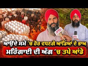 Egg Prices Set to Rise Soon : ‘‘ਆਉਂਦੇ ਸਮੇਂ ’ਚ ਹੋਣ ਵਧਣਗੇ ਆਂਡਿਆਂ ਦੇ ਭਾਅ’’