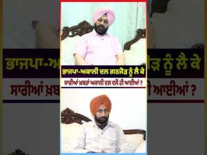 Why Is BJP Silent On Alliance? : BJP-Akali Dal ਗਠਜੋੜ ਨੂੰ ਲੈ ਕੇ ਸਾਰੀਆਂ ਖ਼ਬਰਾਂ Akali Dal ਵਲੋਂ ਹੀ ਆਈਆਂ ?