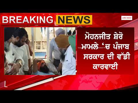Punjab Govt Takes Big Action : ‘ਸ਼ੇਰੋ' ਮਾਮਲੇ ਵਿੱਚ ਪੰਜਾਬ ਸਰਕਾਰ ਦਾ ਵੱਡਾ ਐਕਸ਼ਨ
