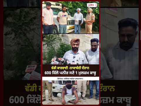 600 Kg Paneer Seized : ਨਾਕਾਬੰਦੀ ਦੌਰਾਨ 600 ਕਿੱਲੋ ਪਨੀਰ ਸਣੇ 1 ਮੁਲਜ਼ਮ ਕਾਬੂ