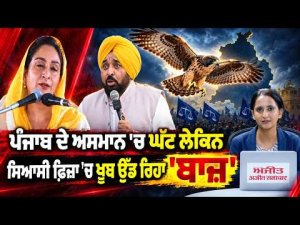 ‘Baaz’ Flies High In Punjab Politics ;  ਸਿਆਸੀ ਫ਼ਿਜ਼ਾ 'ਚ ਖੂਬ ਉੱਡ ਰਿਹਾ 'ਬਾਜ਼'