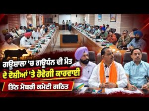 Action In Gaushala Death Case : ਗਊਸ਼ਾਲਾ 'ਚ ਗਊਧੰਨ ਦੀ ਮੌਤ ਦੇ ਜ਼ਿੰਮੇਵਾਰ ਦੋਸ਼ੀਆਂ ਵਿਰੁੱਧ ਕੀਤੀ ਜਾਵੇਗੀ ਕਾਰਵਾਈ