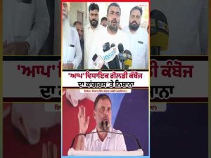 'AAP' ਵਿਧਾਇਕ ਗੋਲਡੀ ਕੰਬੋਜ ਦਾ ਕਾਂਗਰਸ 'ਤੇ ਨਿਸ਼ਾਨਾ