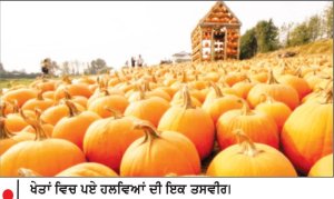 ਹੈਲੋਵੀਨ ਤਿਉਹਾਰ ਦੇ ਮੱਦੇਨਜ਼ਰ ਹਲਵਿਆਂ ਦੇ ਖੇਤਾਂ ’ ਚ ਸੈਲਾਨੀਆਂ ਦੀਆਂ ਰੌਣਕਾਂ ਵਧਣ ਲੱਗੀਆਂ