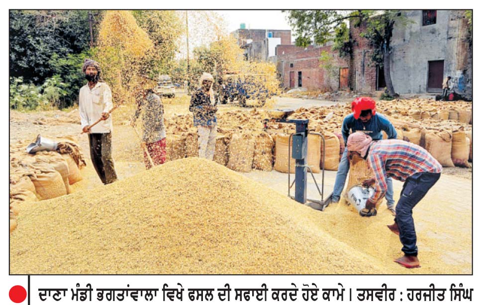 ਸਰਕਾਰੀ ਖ਼ਰੀਦ ਸ਼ੁਰੂ ਨਾ ਹੋਣ ਕਾਰਨ ਕੌਡੀਆਂ ਦੇ ਭਾਅ ਵਿਕ ਰਿਹਾ ਝੋਨਾ