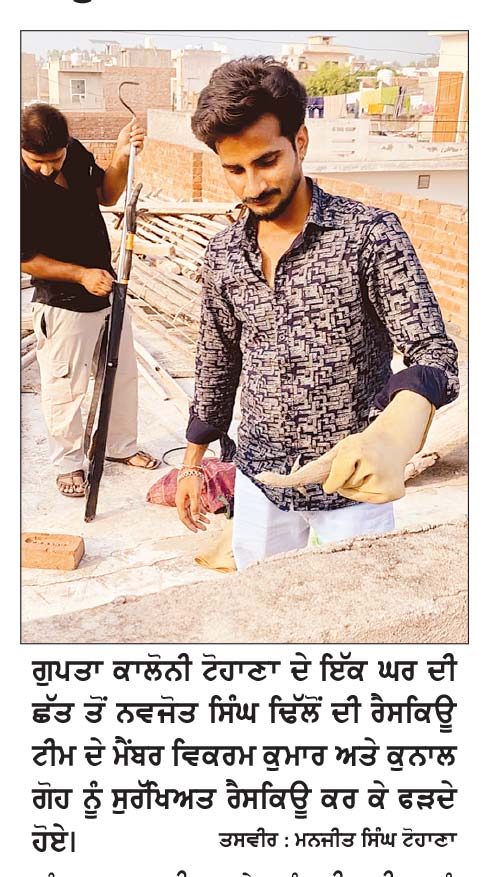 ਘਰ ਦੀ ਛੱਤ ’ਤੇ ਦਿਖੀ ਗੋਹ, ਰੈਸਕਿਊ ਟੀਮ ਨੇ ਸੁਰੱਖਿਅਤ ਫੜੀ