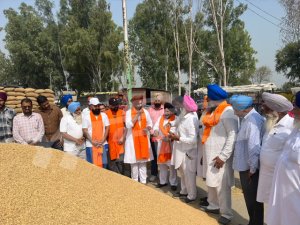 ਦਾਣਾ ਮੰਡੀ ਢਿਲਵਾਂ ਵਿਖੇ ਝੋਨੇ ਦੀ ਸਰਕਾਰੀ ਖਰੀਦ ਹੋਈ ਸ਼ੁਰੂ
