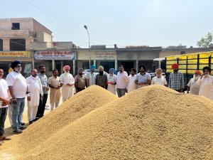 ਚੇਅਰਮੈਨ ਦਿਲਬਾਗ ਸਿੰਘ ਬਾਠ ਨੇ ਦਾਣਾ ਮੰਡੀ ਤਰਨ ਤਾਰਨ ਵਿਖੇ ਸਰਕਾਰੀ ਖ੍ਰੀਦ ਸ਼ੁਰੂ ਕਰਵਾਈ
