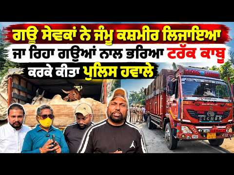 Cow Activists Intercept Cattle Truck : ਗਊ ਸੇਵਕਾਂ ਨੇ ਜੰਮੂ ਕਸ਼ਮੀਰ ਲਿਜਾਇਆ ਜਾ ਰਿਹਾ ਗਊਆਂ