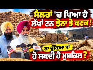 Storage Space Shortage Hits Shellers : ਸੈਲਰਾਂ 'ਚ ਪਿਆ ਹੈ ਲੱਖਾਂ ਟਨ ਝੋਨਾ ਤੇ ਕਣਕ !
