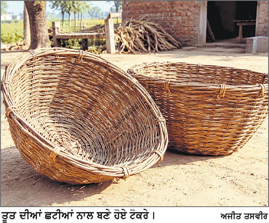 ਤੂਤ ਦੀਆਂ ਛਟੀਆਂ ਦੇ ਟੋਕਰੇ ਬਣਾਉਣ ਦਾ ਦੌਰ ਪੰਜਾਬ ’ਚੋਂ ਲਗਭਗ ਖ਼ਤਮ