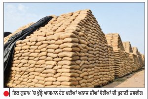 ਪੰਜਾਬ ’ਚ 80 ਲੱਖ ਮੀਟ੍ਰਿਕ ਟਨ ਤੋਂ ਵੱਧ ਅਨਾਜ ਆਧੁਨਿਕ ਗੁਦਾਮਾਂ ਦੀ ਬਜਾਏ ਖੁੱਲ੍ਹੇ ਅਸਮਾਨ ਹੇਠ
ਕੇਂਦਰ ਸਰਕਾਰ ਵਲੋਂ ਅਨਾਜ ਸੁਰੱਖਿਅਤ ਹੋਣ ਦੇ ਦਾਅਵੇ ਹਨੇਰੀਆਂ ’ਚ ਉਡਦੀਆਂ ਤਰਪਾਲਾਂ ਹੇਠ ਖਿੰਡੇ