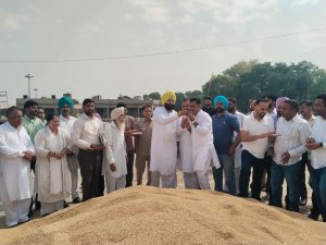 ਵਿਧਾਇਕ ਫੌਜਾ ਸਿੰਘ ਸਰਾਰੀ ਨੇ ਗੁਰੂ ਹਰ ਸਹਾਏ ਦੀ ਮੁੱਖ ਅਨਾਜ ਮੰਡੀ ਵਿਚ ਝੋਨੇ ਦੀ ਸਰਕਾਰੀ ਖ਼ਰੀਦ ਕਰਵਾਈ ਸ਼ੁਰੂ