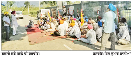 ਝੋਟੇ ਦੀ ਮੌਤ ਦੇ ਰੋਸ ਵਜੋਂ ਮੰਤਰੀ ਦੀ ਕੋਠੀ ਅੱਗੇ ਲਗਾਇਆ ਧਰਨਾ
