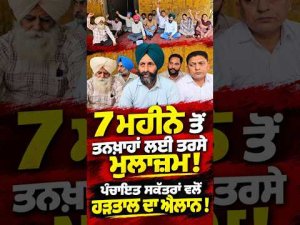 Employees Struggle Without Pay For Months : 7 ਮਹੀਨੇ ਤੋਂ ਤਨਖ਼ਾਹਾਂ ਲਈ ਤਰਸੇ ਮੁਲਾਜ਼ਮ