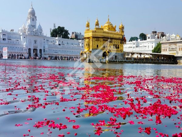 ਨਗਰ ਕੀਰਤਨ ਦੌਰਾਨ ਹਵਾਈ ਜਹਾਜ ਵਲੋਂ ਫੁੱਲਾਂ ਦੀ ਵਰਖਾ
