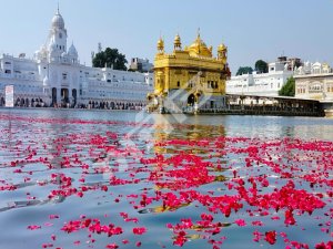 ਨਗਰ ਕੀਰਤਨ ਦੌਰਾਨ ਹਵਾਈ ਜਹਾਜ ਵਲੋਂ ਸ੍ਰੀ ਹਰਿਮੰਦਰ ਸਾਹਿਬ ਅਤੇ ਨਗਰ ਕੀਰਤਨ 'ਤੇ ਫੁੱਲਾਂ ਦੀ ਵਰਖਾ