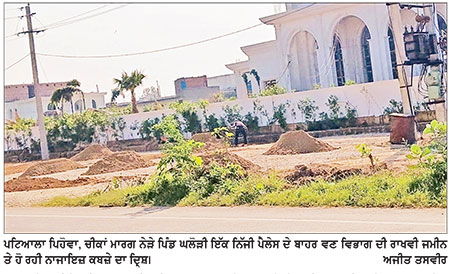 -ਮਾਮਲਾ ਰੁੱਖਾਂ ਲਈ ਰਾਖਵੀਂ ਜਗ੍ਹਾ ’ਤੇ ਨਿੱਜੀ ਸਵਾਰਥ ਲਈ ਕਬਜ਼ੇ ਦਾ-
ਦੋ ਸਾਲ ਪਹਿਲਾਂ ਵਣ ਵਿਭਾਗ ਵਲੋਂ ਲਗਾਏ ਬੂਟੇ ਕੀਤੇ ਨਸ਼ਟ, ਜੰਗਲਾਤ ਅਧਿਕਾਰੀ ਕੁੰਭਕਰਨੀ ਨੀਂਦ ਸੁੱਤੇ